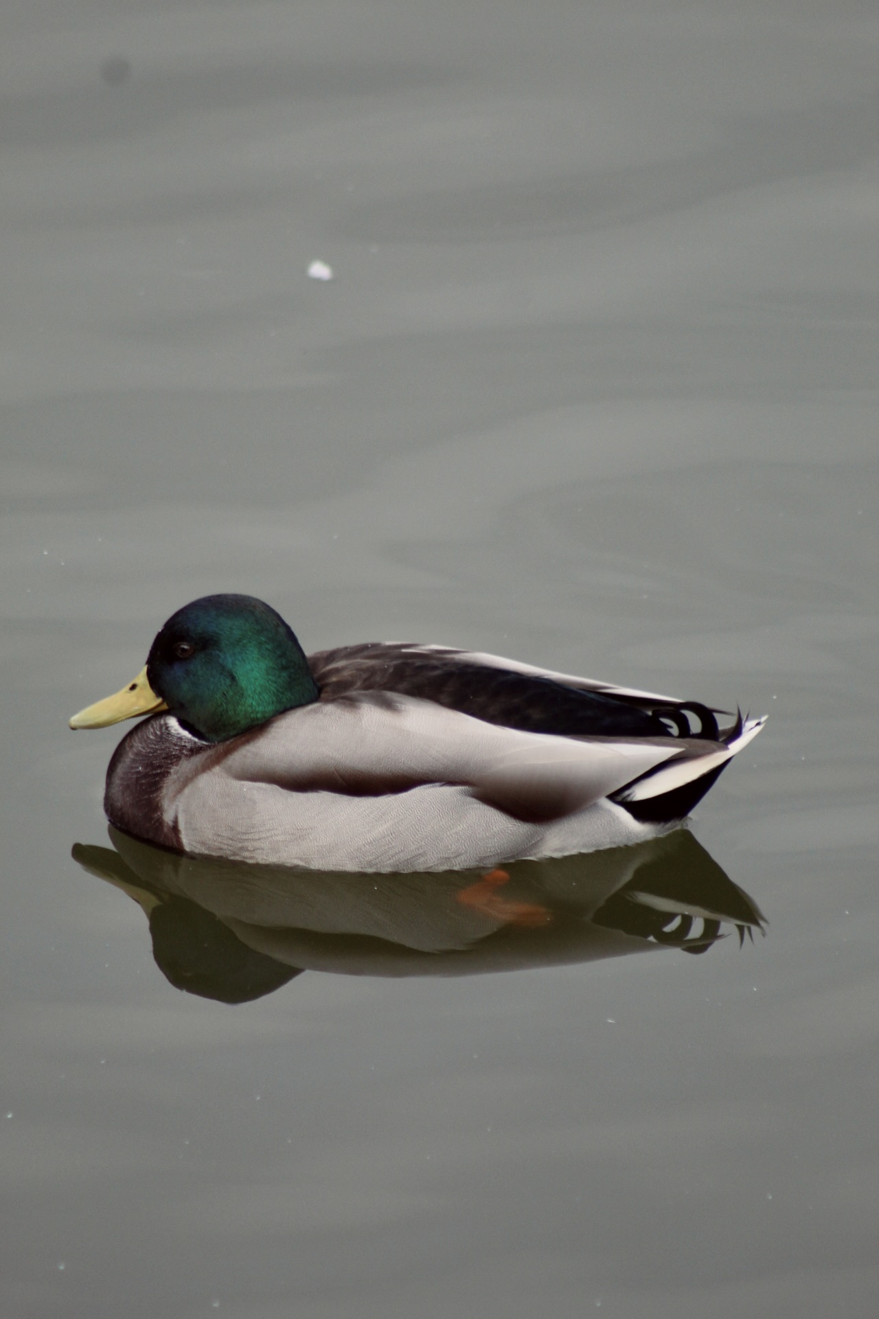 IMG_2577.jpeg