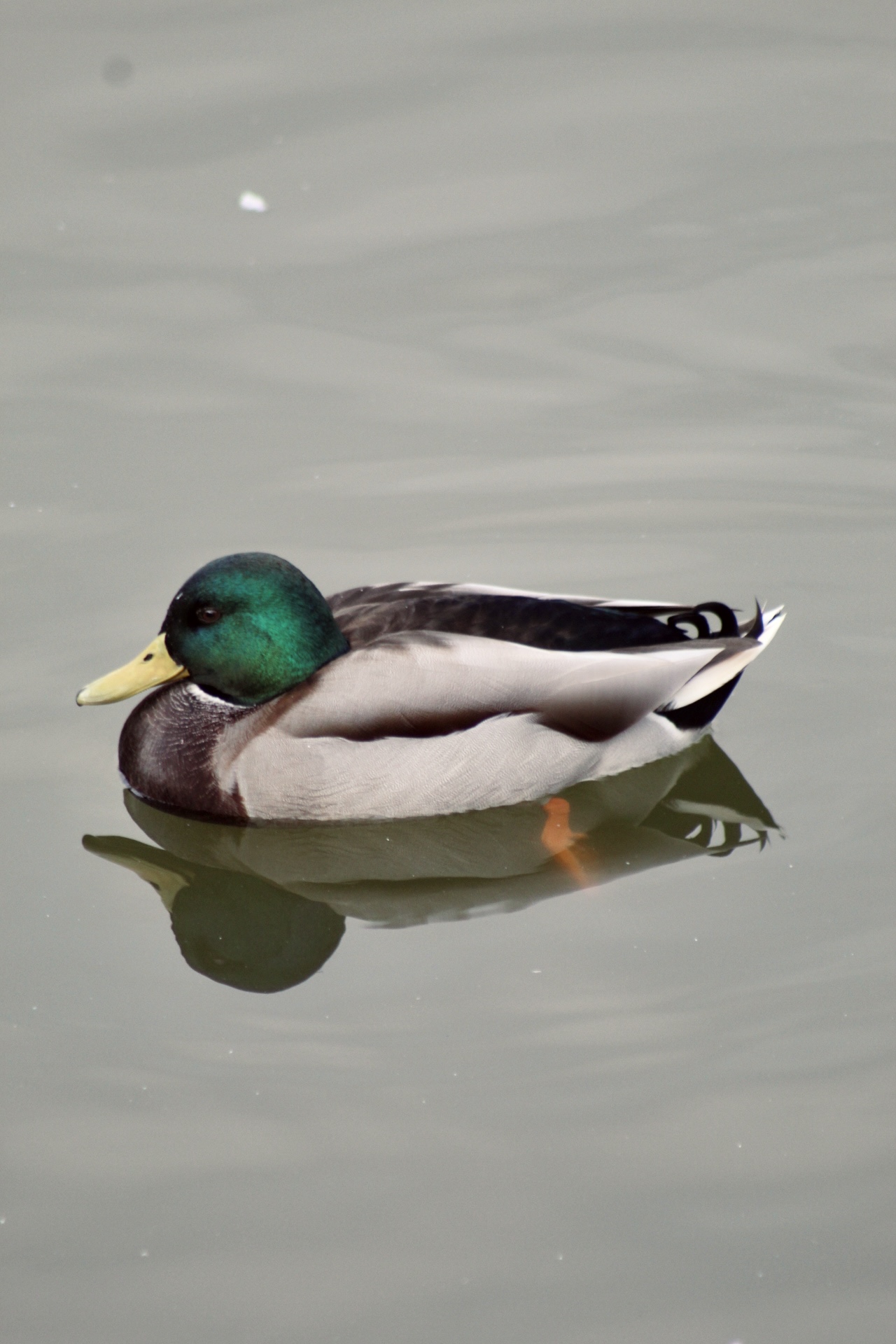IMG_2576.jpeg