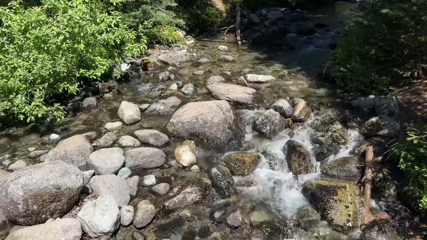 4554432532635276782829219129129121990.jpg