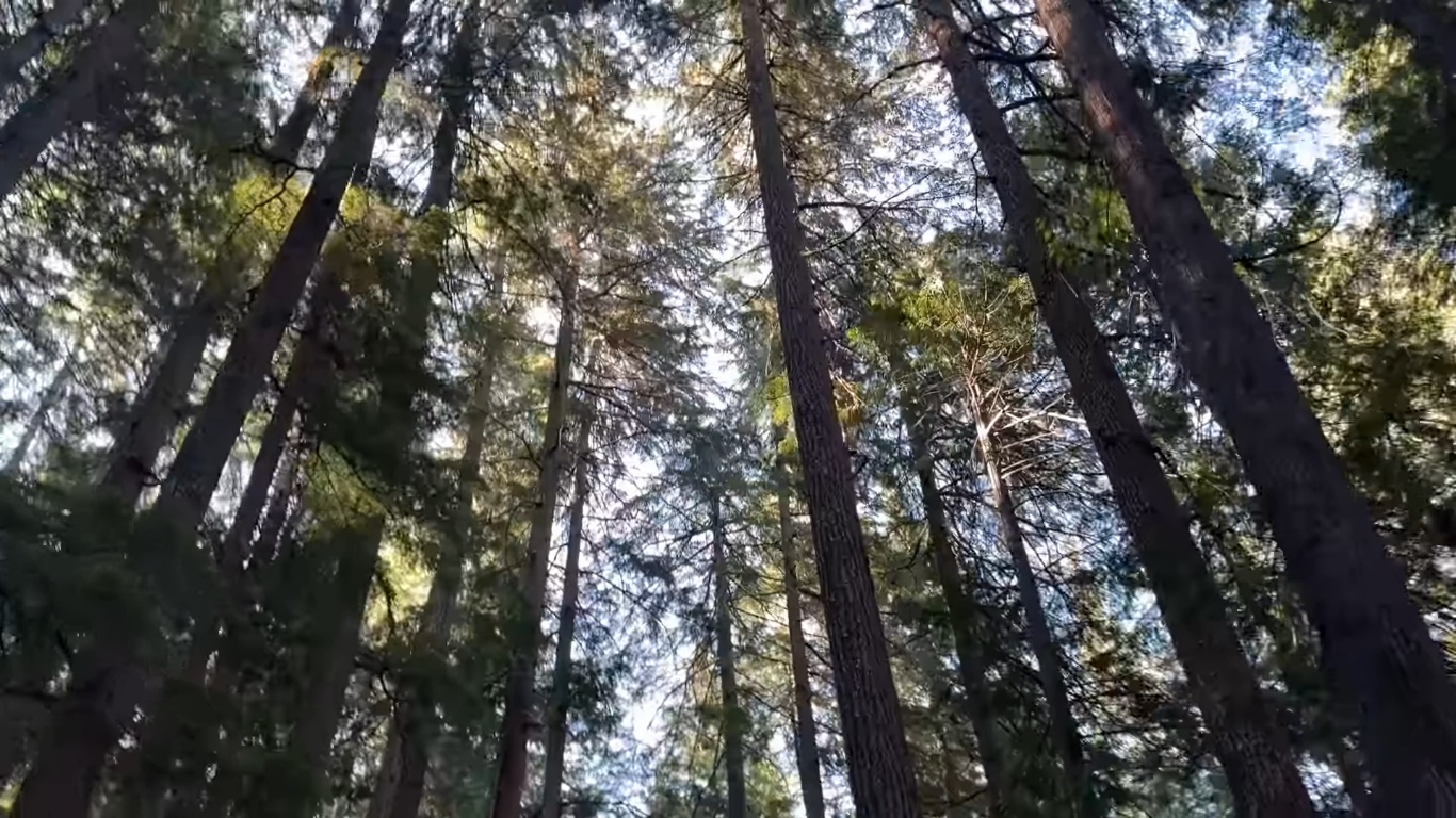 45454443532662178712127881292992819128298218929881221899.jpg