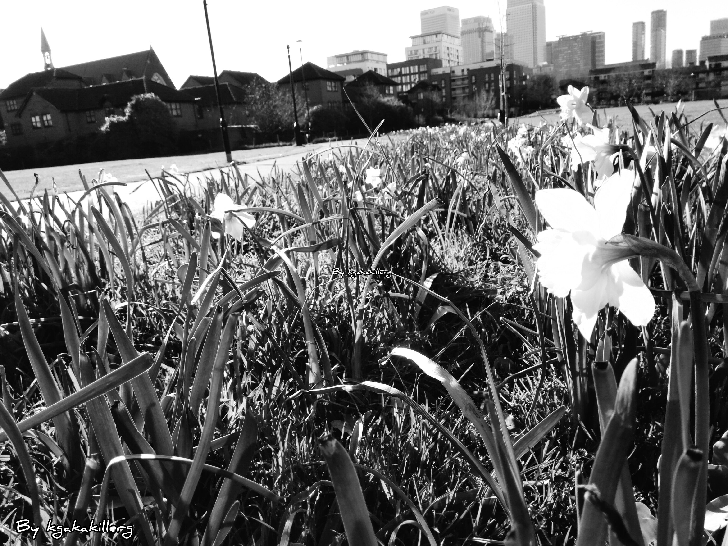 InShot_20260507_050801894.jpg