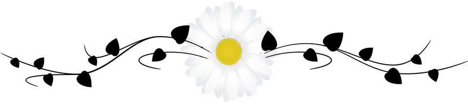 kwiatki2.png