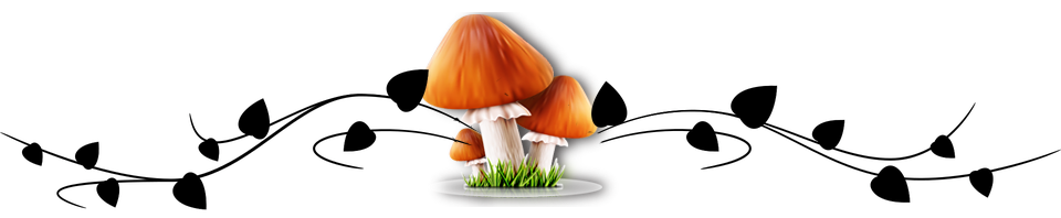 ornament fungi2.png