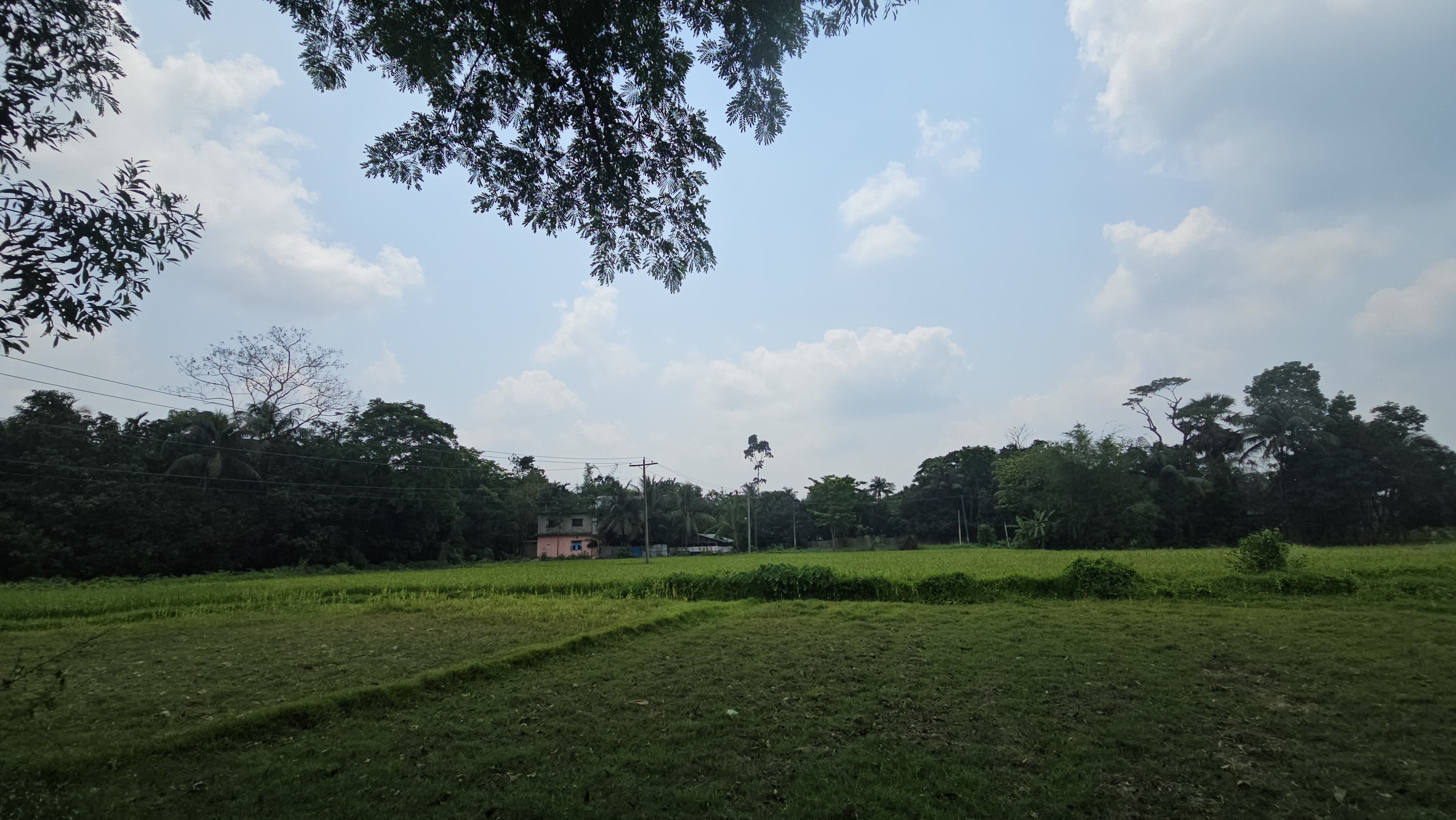 20260418_112446.jpg
