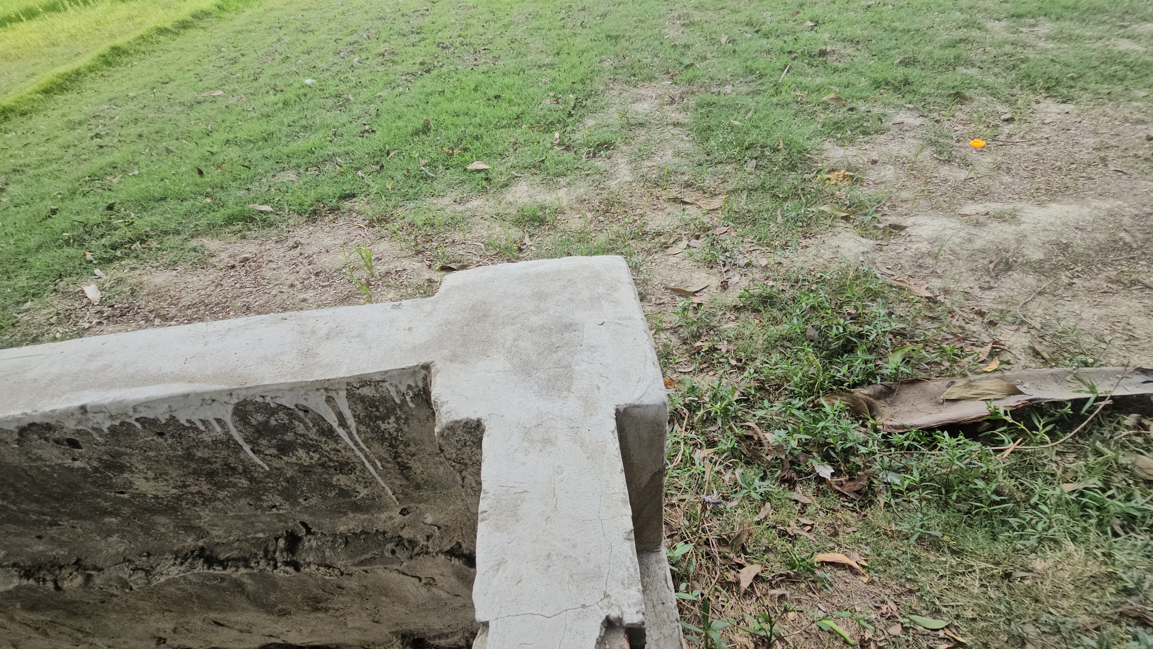 20260418_112430.jpg
