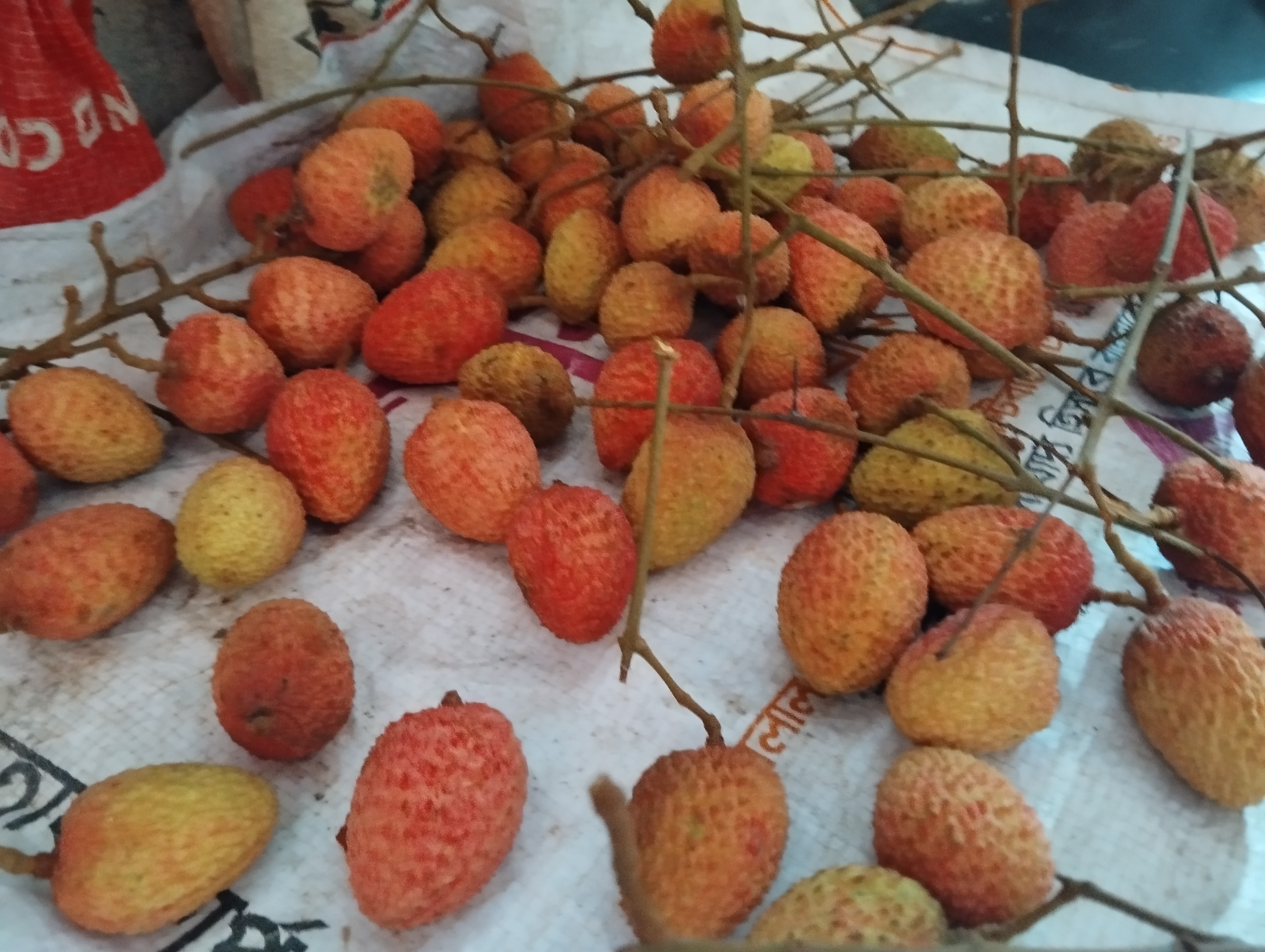 1000028718.jpg
