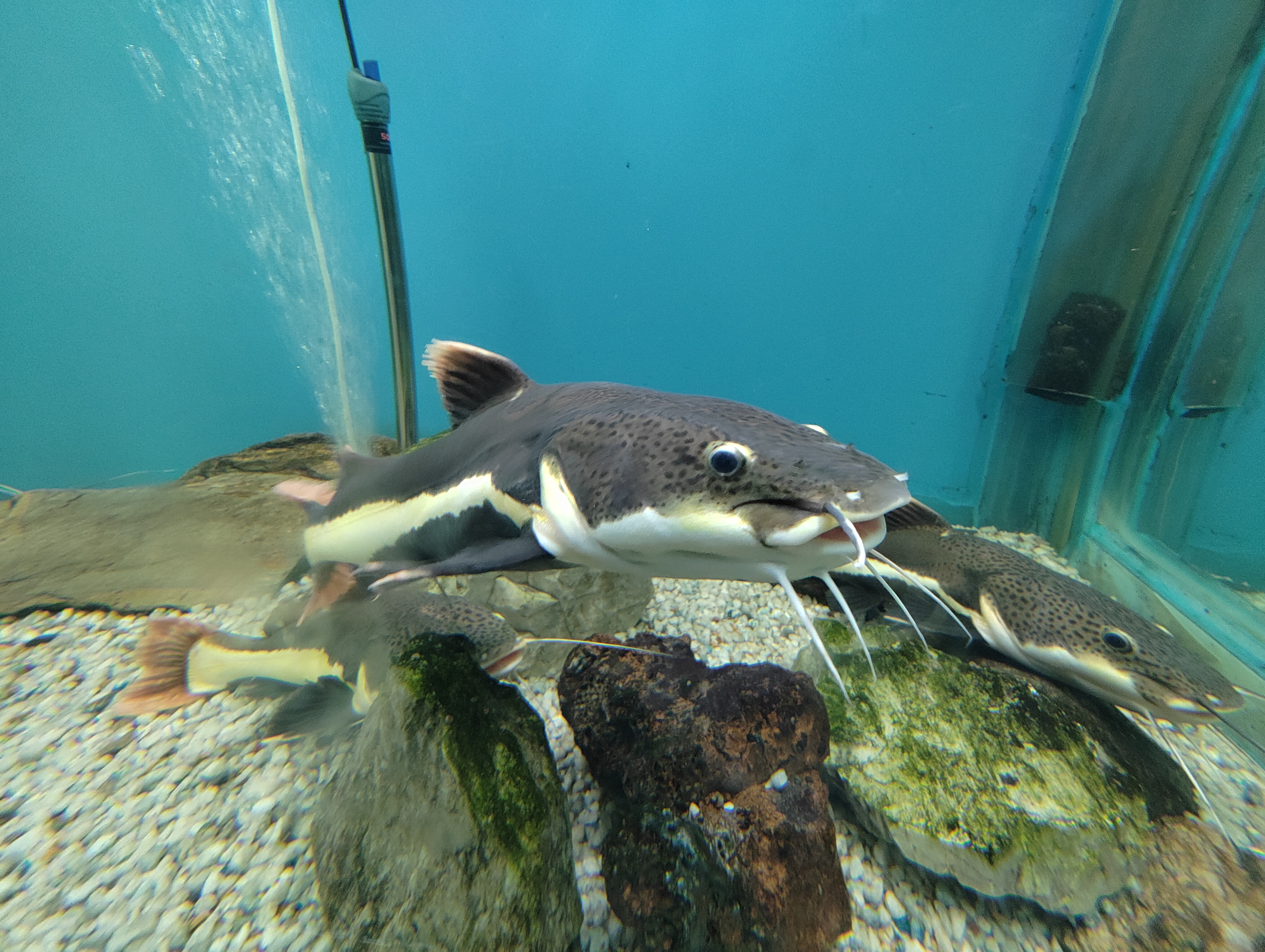 IMG_20250330_142844621.jpg