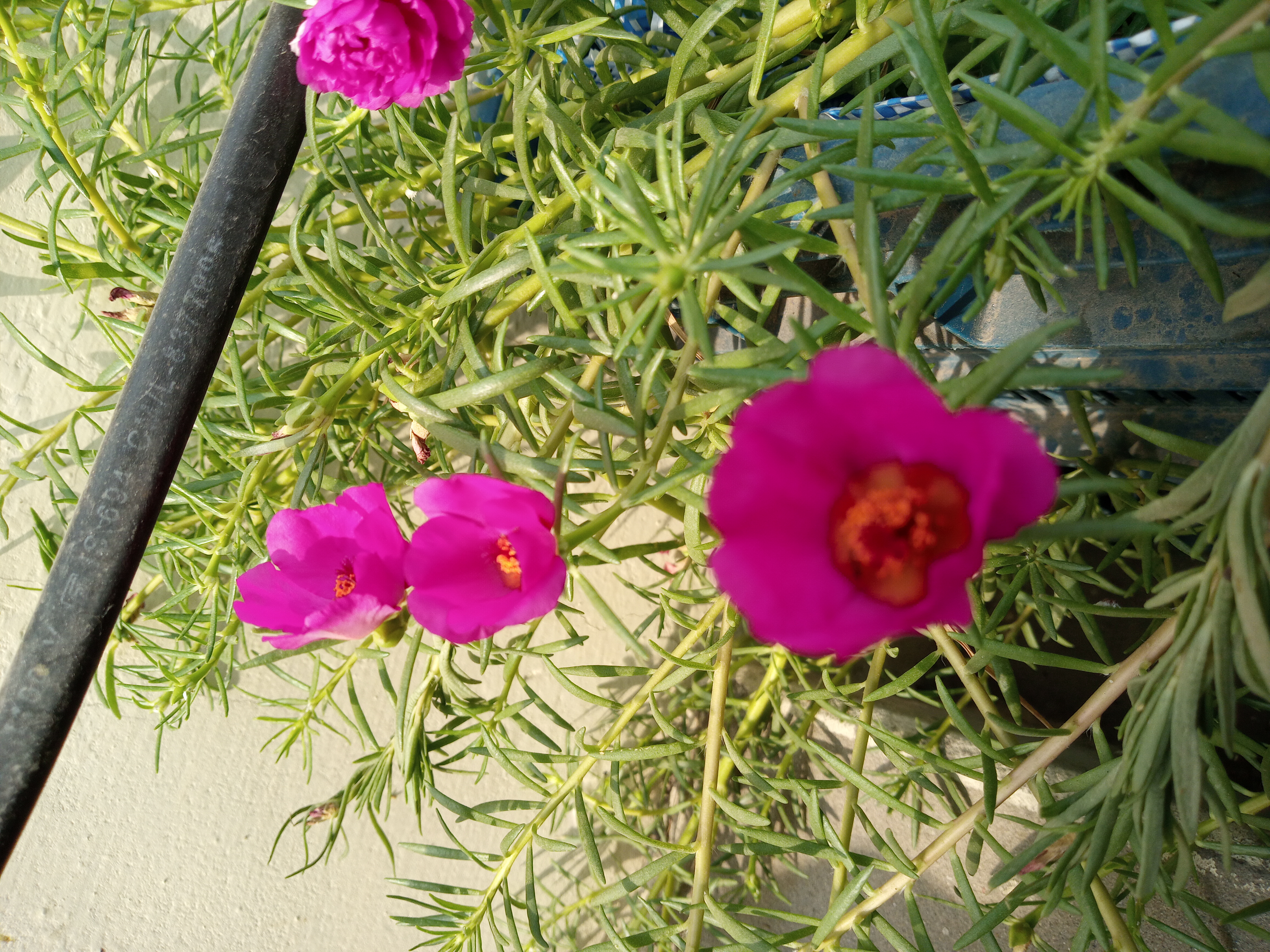 20220503_090814.jpg