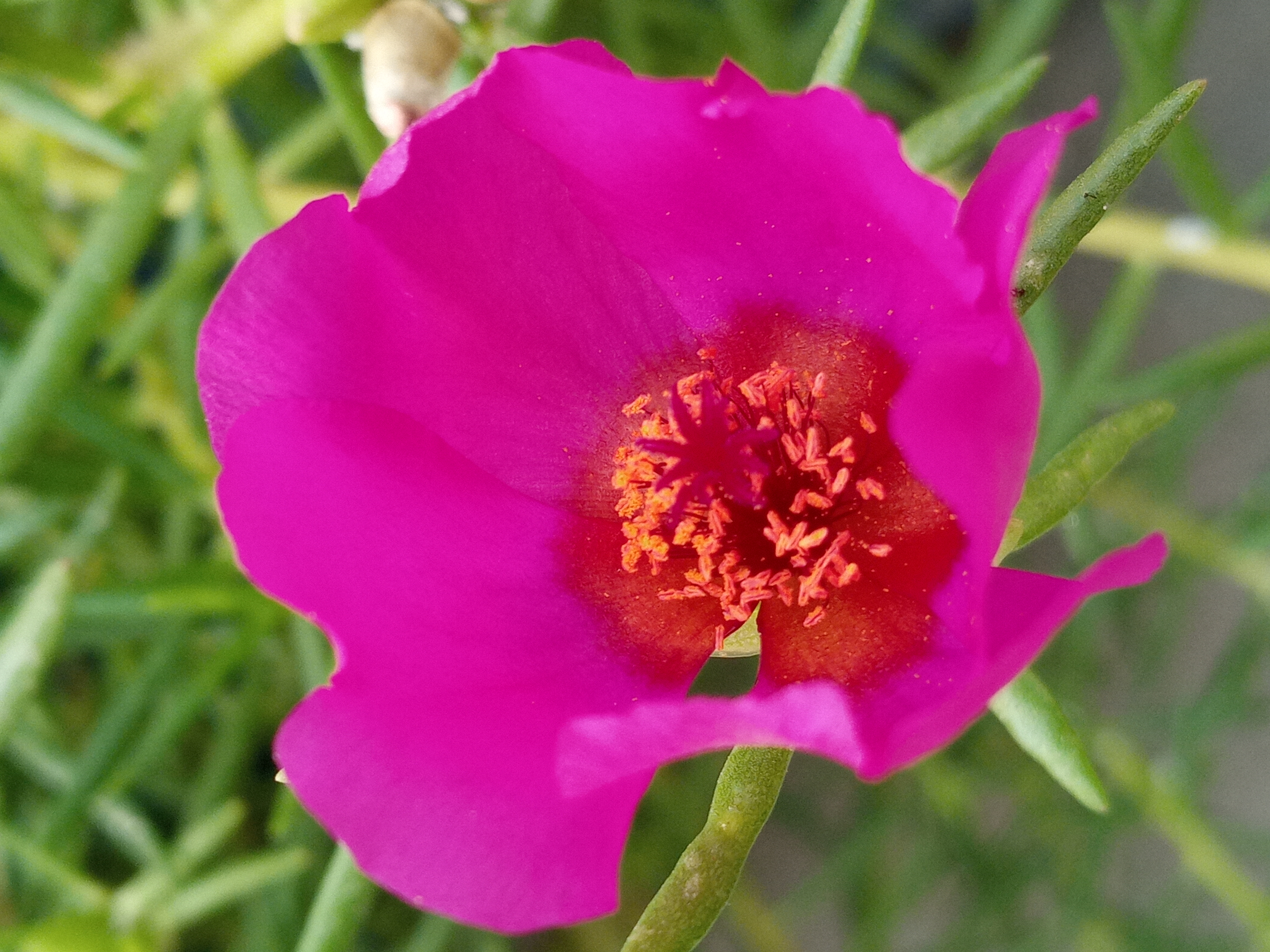 20220503_091231_HDR.jpg