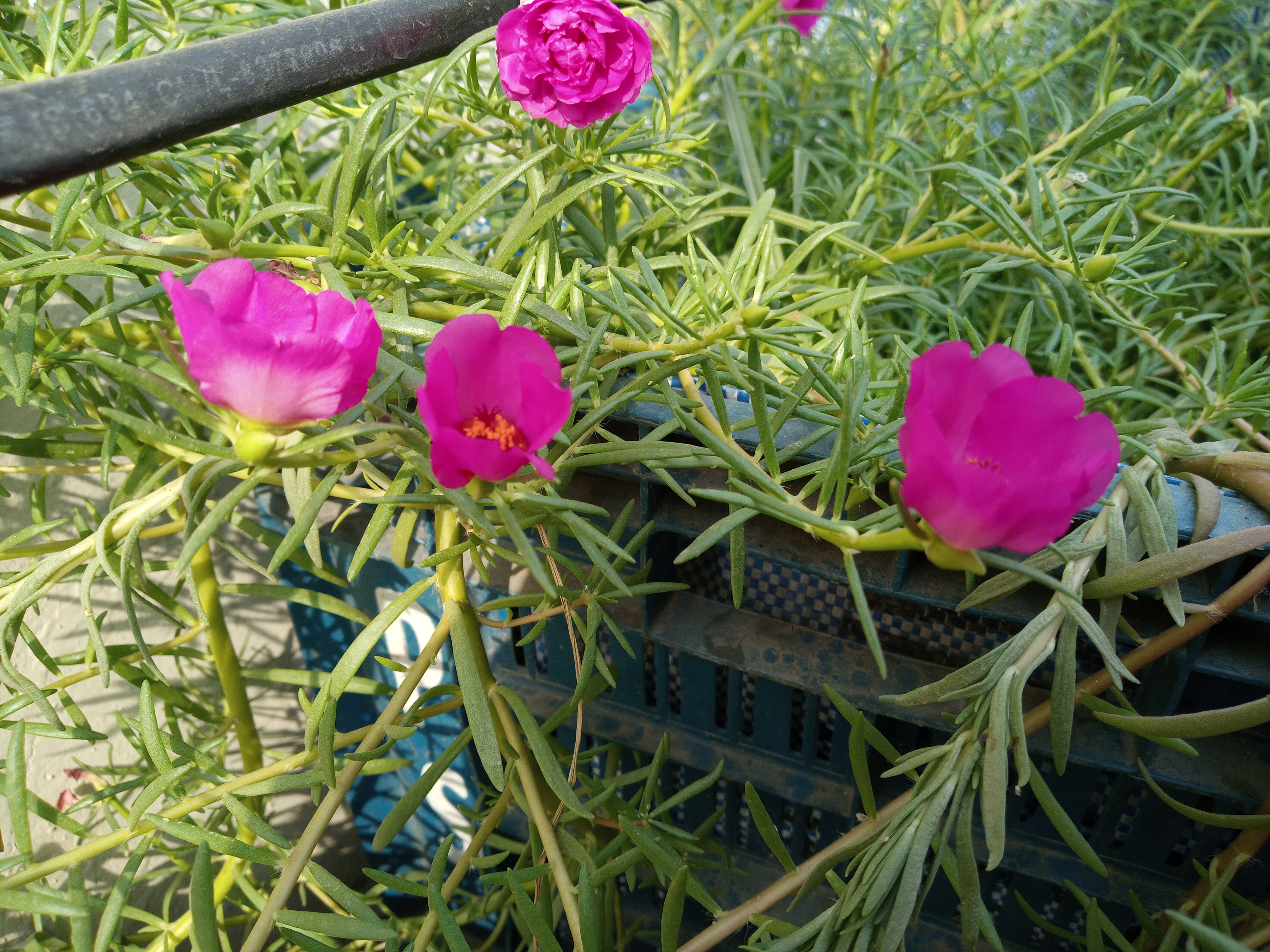 20220503_090811.jpg