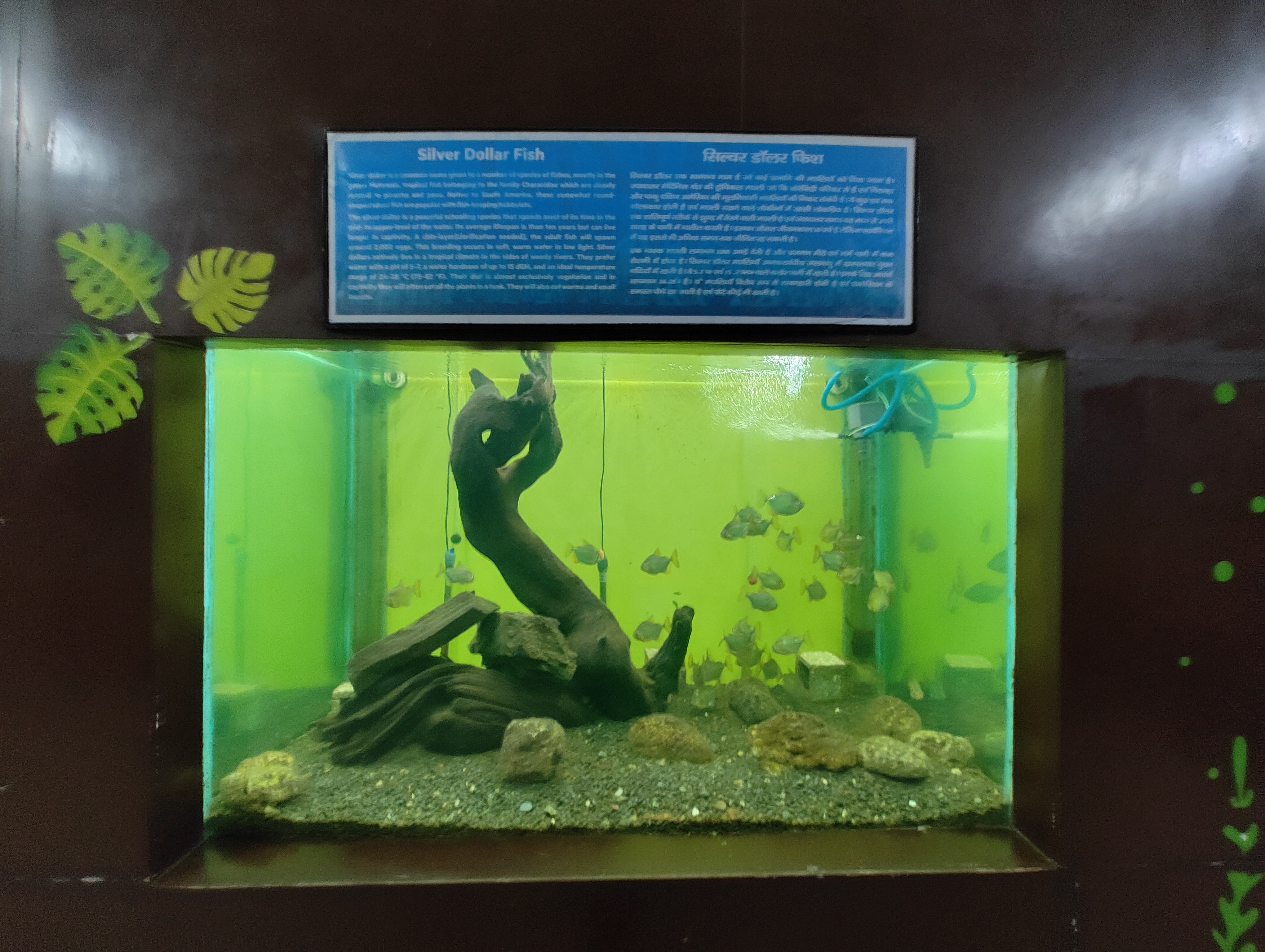 IMG_20250330_142402358.jpg