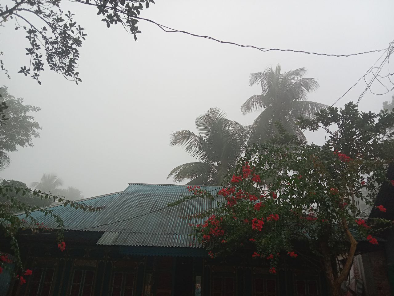 IMG_20260428_082805_733.jpg
